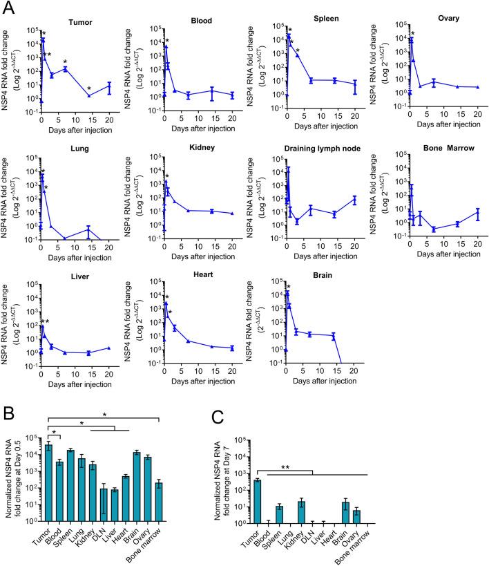 https://cdn.ncbi.nlm.nih.gov/pmc/blobs/1162/10978917/ee0f5a84637b/41598_2024_57997_Fig2_HTML.jpg