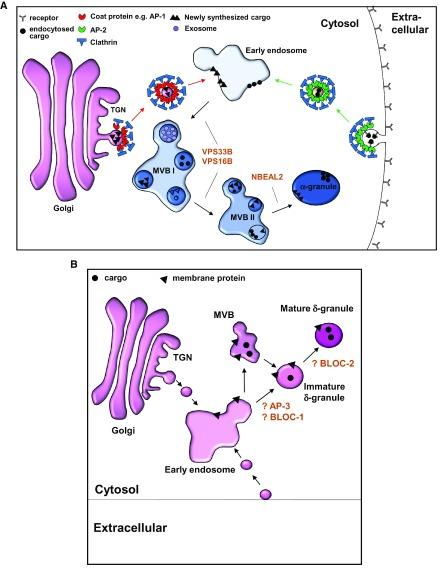 https://cdn.ncbi.nlm.nih.gov/pmc/blobs/1162/5832915/12eecd7927c5/f1000research-7-14415-g0000.jpg