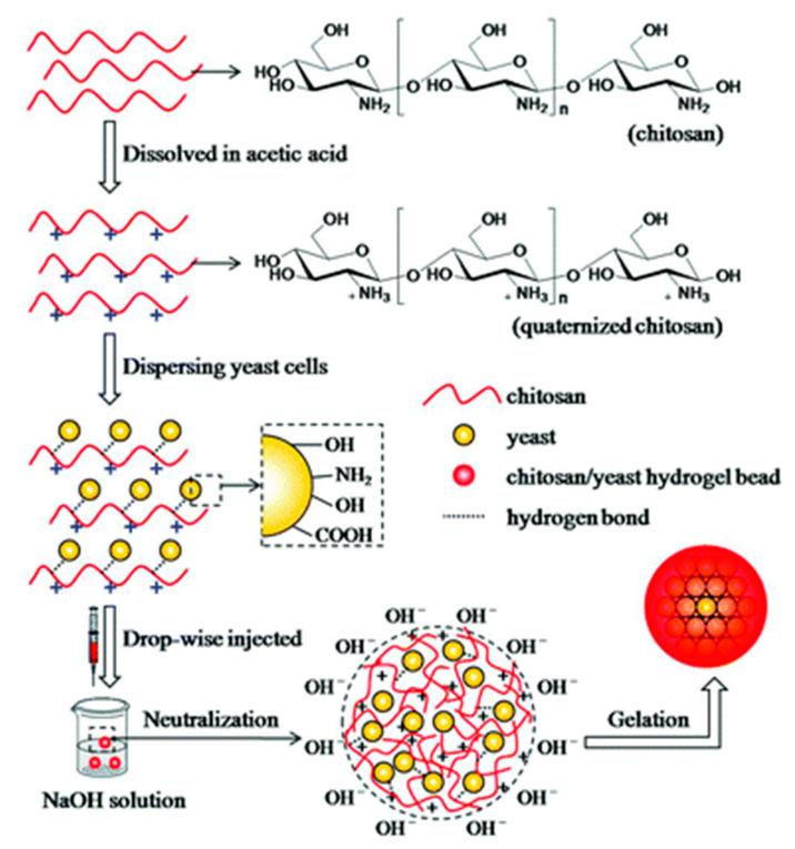 https://cdn.ncbi.nlm.nih.gov/pmc/blobs/1163/7590028/08e2669e96e3/polymers-12-02425-g006.jpg