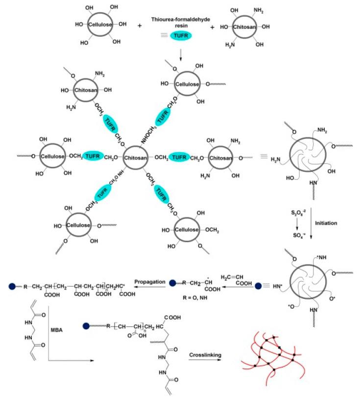 https://cdn.ncbi.nlm.nih.gov/pmc/blobs/1163/7590028/50b6baf01044/polymers-12-02425-g003.jpg