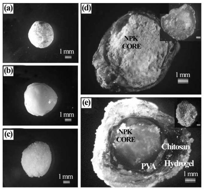 https://cdn.ncbi.nlm.nih.gov/pmc/blobs/1163/7590028/7a2ecbbf6054/polymers-12-02425-g002.jpg