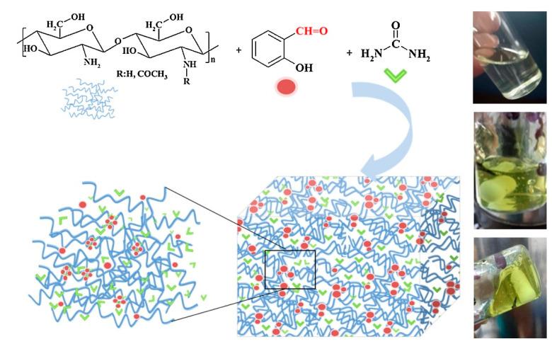 https://cdn.ncbi.nlm.nih.gov/pmc/blobs/1163/7590028/d24f938c42af/polymers-12-02425-g004.jpg