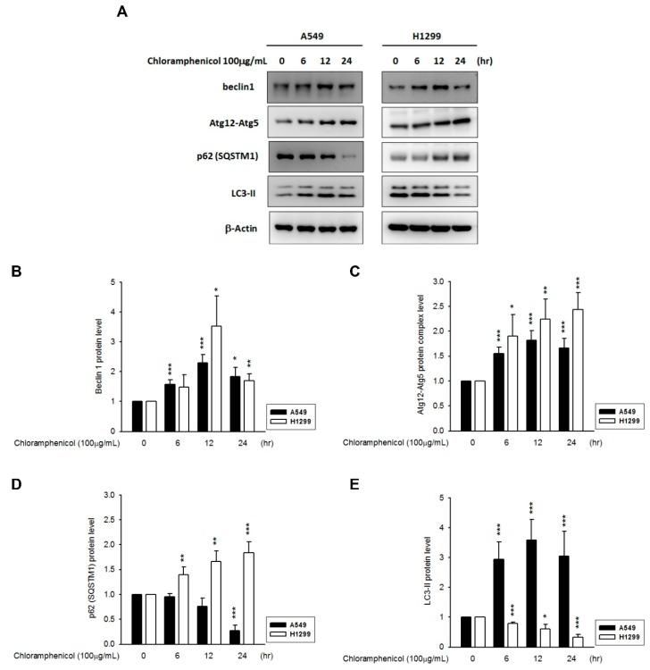 https://cdn.ncbi.nlm.nih.gov/pmc/blobs/1165/6337541/6d1695fd1a68/ijms-20-00157-g004.jpg