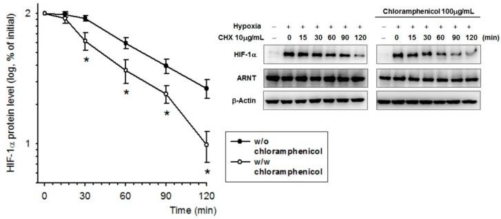 https://cdn.ncbi.nlm.nih.gov/pmc/blobs/1165/6337541/a80c36bd4a8b/ijms-20-00157-g003.jpg