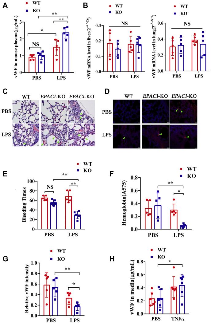 https://cdn.ncbi.nlm.nih.gov/pmc/blobs/1166/8592879/506bd5dfa0b7/gr1.jpg