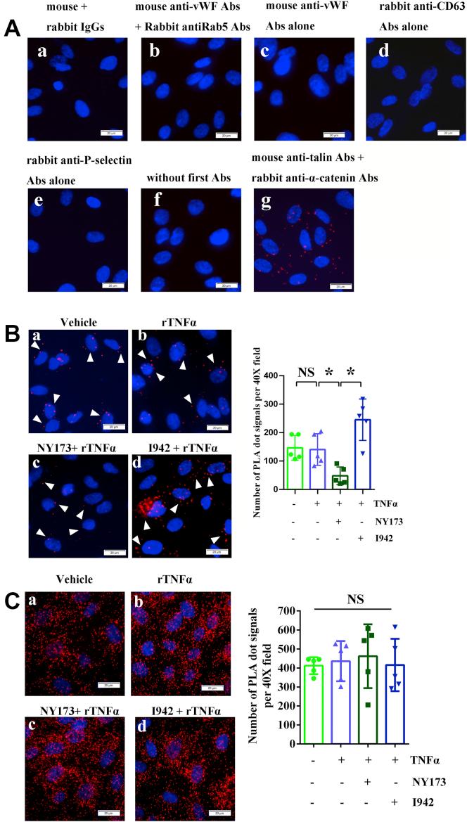 https://cdn.ncbi.nlm.nih.gov/pmc/blobs/1166/8592879/c8b83f9e86c7/gr5.jpg