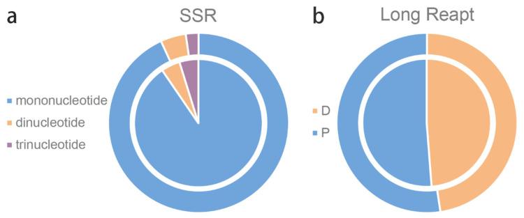 https://cdn.ncbi.nlm.nih.gov/pmc/blobs/1167/9778092/23f3ecbcffe1/genes-13-02410-g002.jpg