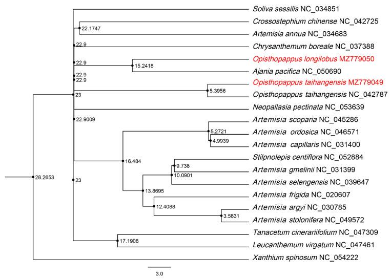 https://cdn.ncbi.nlm.nih.gov/pmc/blobs/1167/9778092/d57af68eb2f0/genes-13-02410-g005.jpg