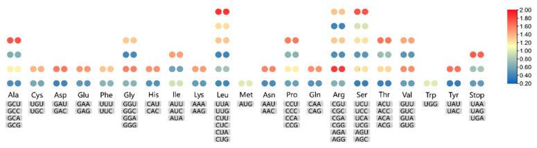 https://cdn.ncbi.nlm.nih.gov/pmc/blobs/1167/9778092/e2404ccc7e1d/genes-13-02410-g003.jpg