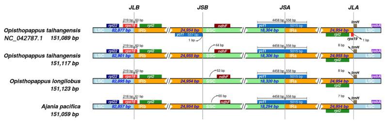 https://cdn.ncbi.nlm.nih.gov/pmc/blobs/1167/9778092/f20d9b780676/genes-13-02410-g008.jpg