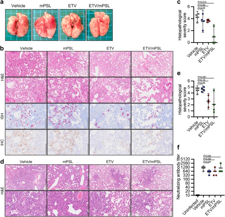 https://cdn.ncbi.nlm.nih.gov/pmc/blobs/1168/10792455/8472705852bd/gr3.jpg