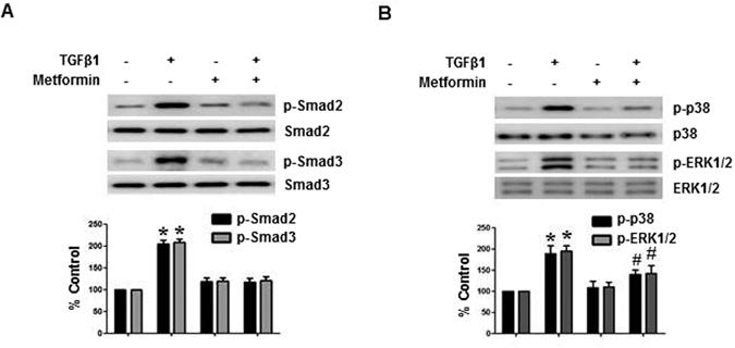 https://cdn.ncbi.nlm.nih.gov/pmc/blobs/1168/5515908/cb02f9d478e5/41598_2017_5836_Fig2_HTML.jpg
