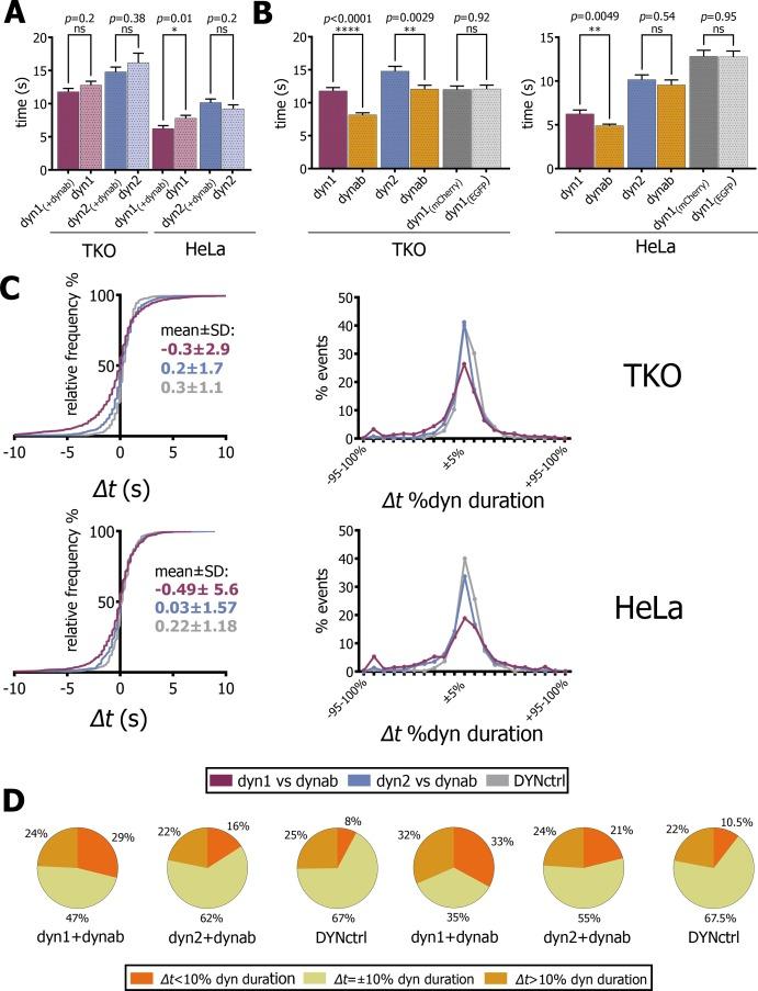 https://cdn.ncbi.nlm.nih.gov/pmc/blobs/1169/5658065/13afe8fd6e4d/elife-25197-fig4.jpg