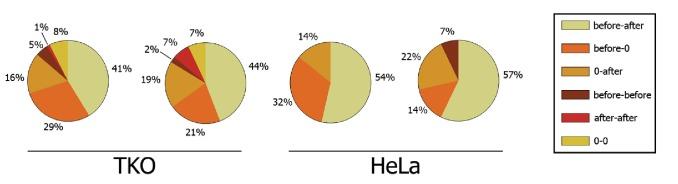 https://cdn.ncbi.nlm.nih.gov/pmc/blobs/1169/5658065/3498cf05404e/elife-25197-fig4-figsupp2.jpg