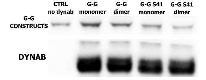 https://cdn.ncbi.nlm.nih.gov/pmc/blobs/1169/5658065/4cbd7973aea4/elife-25197-resp-fig1.jpg