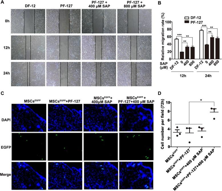 https://cdn.ncbi.nlm.nih.gov/pmc/blobs/1169/7119174/8d302bf7d785/13287_2020_1638_Fig5_HTML.jpg