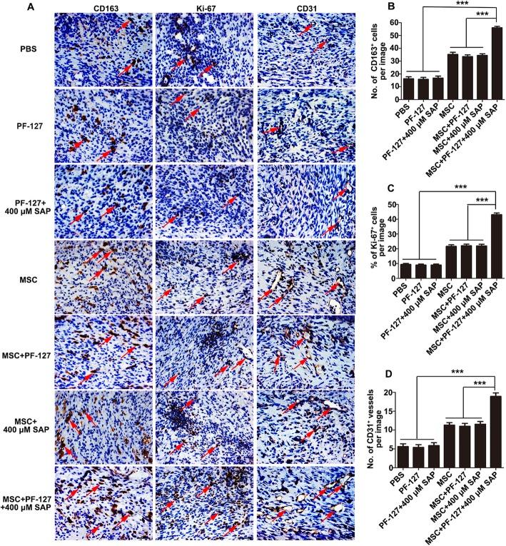 https://cdn.ncbi.nlm.nih.gov/pmc/blobs/1169/7119174/ca105fd33a40/13287_2020_1638_Fig6_HTML.jpg