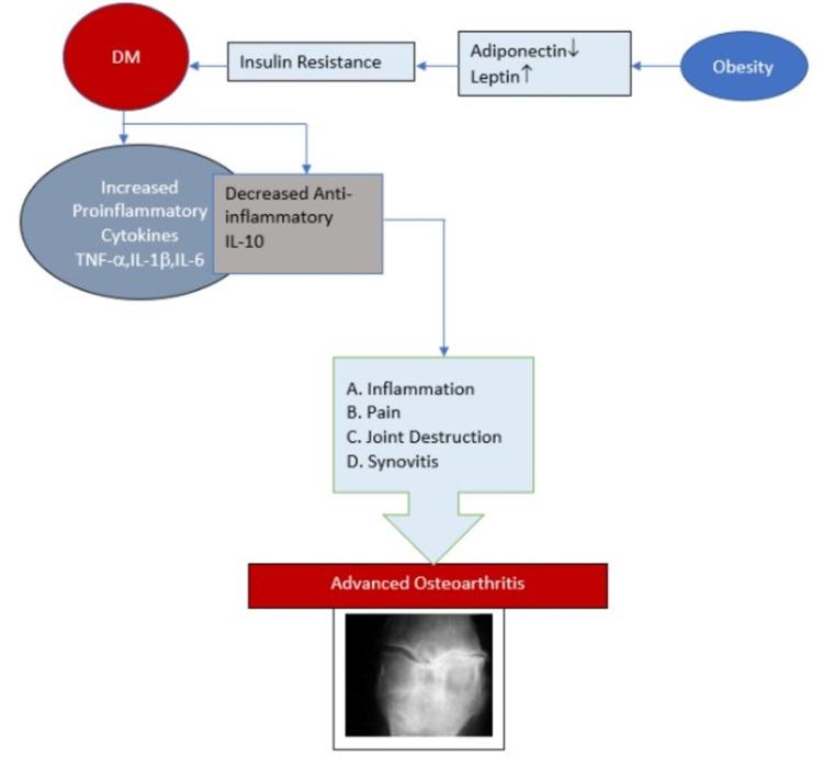https://cdn.ncbi.nlm.nih.gov/pmc/blobs/116b/8857910/ca273fabb7df/cureus-0014-00000021449-i03.jpg