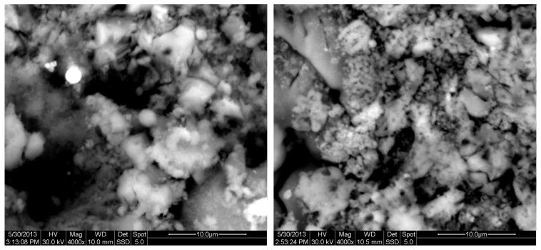 https://cdn.ncbi.nlm.nih.gov/pmc/blobs/116d/11990046/44513652501e/materials-18-01496-g012.jpg