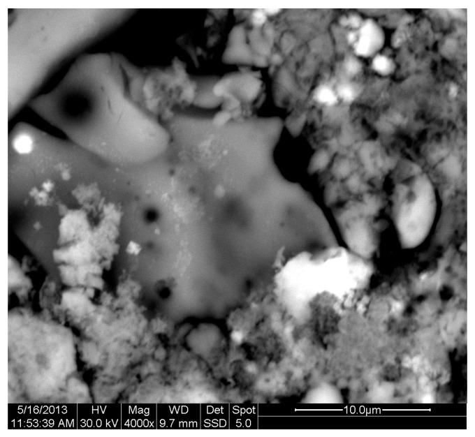 https://cdn.ncbi.nlm.nih.gov/pmc/blobs/116d/11990046/5b16600c39a4/materials-18-01496-g011.jpg
