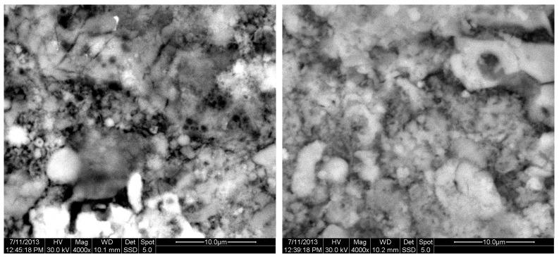 https://cdn.ncbi.nlm.nih.gov/pmc/blobs/116d/11990046/fa40685493bc/materials-18-01496-g014.jpg