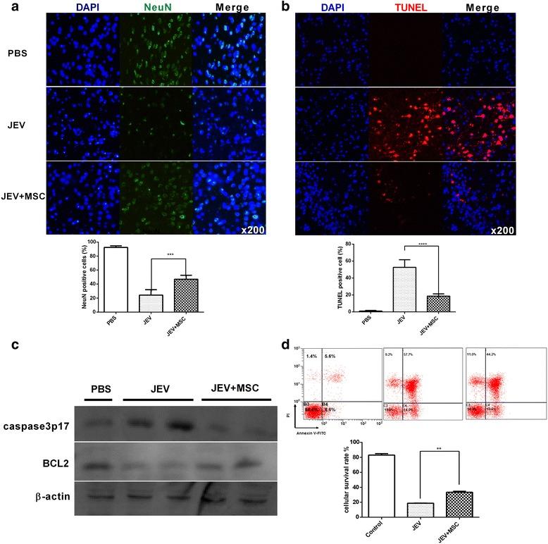 https://cdn.ncbi.nlm.nih.gov/pmc/blobs/116e/5314473/5d3e2ff54aca/13287_2017_486_Fig4_HTML.jpg
