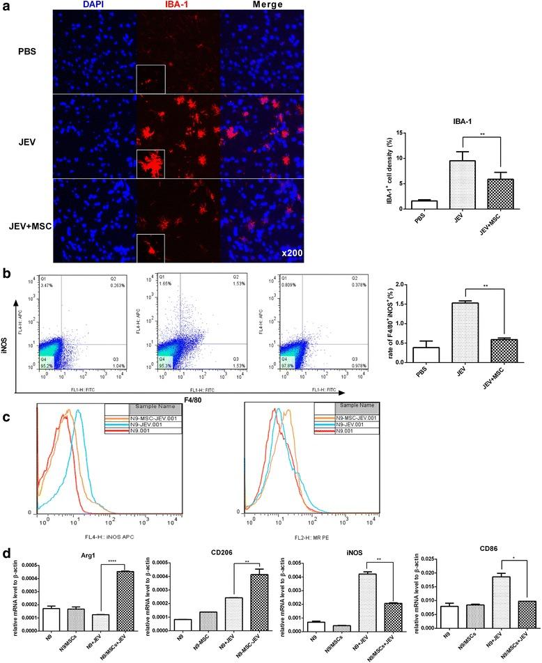 https://cdn.ncbi.nlm.nih.gov/pmc/blobs/116e/5314473/82ea8c832860/13287_2017_486_Fig3_HTML.jpg