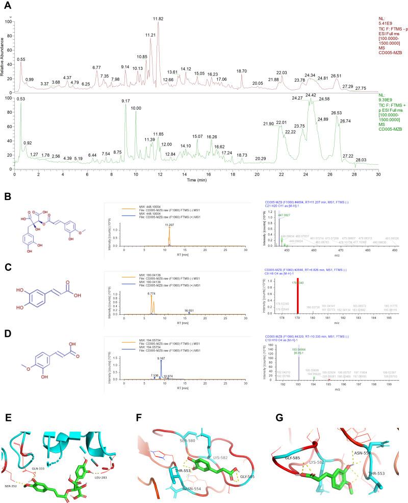 https://cdn.ncbi.nlm.nih.gov/pmc/blobs/1171/8858003/8ef43bc825cc/JIR-15-1027-g0009.jpg