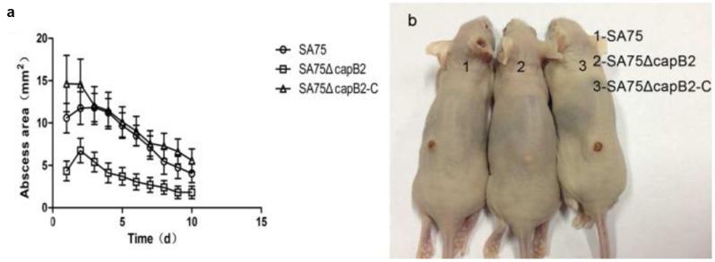 https://cdn.ncbi.nlm.nih.gov/pmc/blobs/1172/5300969/c4711312a688/fmicb-08-00184-g003.jpg