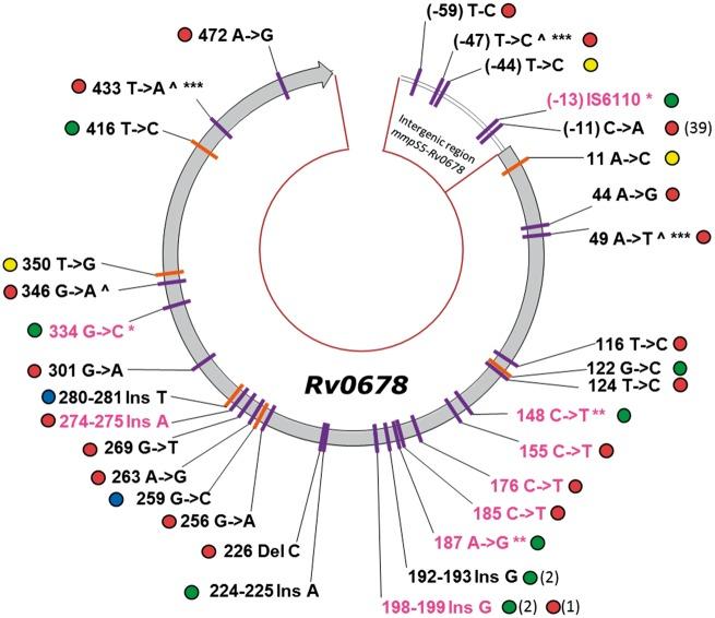 https://cdn.ncbi.nlm.nih.gov/pmc/blobs/1173/5400087/7eb47bf8617e/dkw502f1.jpg