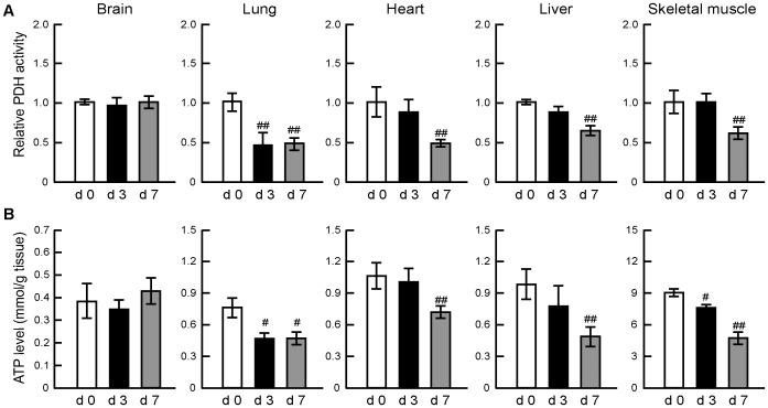 https://cdn.ncbi.nlm.nih.gov/pmc/blobs/1175/4035290/46ce6b6bee97/pone.0098032.g001.jpg