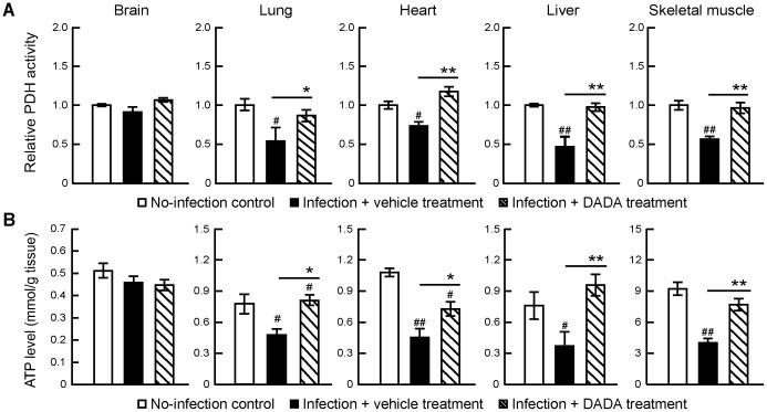 https://cdn.ncbi.nlm.nih.gov/pmc/blobs/1175/4035290/d0dc9a217770/pone.0098032.g003.jpg