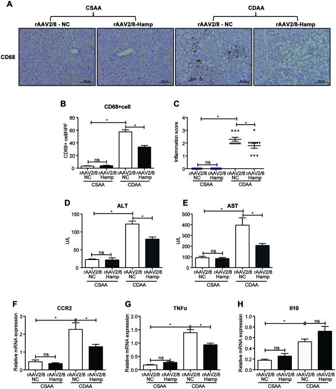 https://cdn.ncbi.nlm.nih.gov/pmc/blobs/1175/9396326/56a9fd1630d9/JCTH-10-577-g004.jpg
