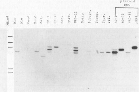 https://cdn.ncbi.nlm.nih.gov/pmc/blobs/1177/204203/5e139958ed2f/aem00129-0122-a.jpg