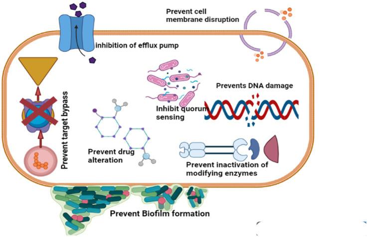 https://cdn.ncbi.nlm.nih.gov/pmc/blobs/1179/10228746/864eef43231c/fvets-10-1188752-g002.jpg
