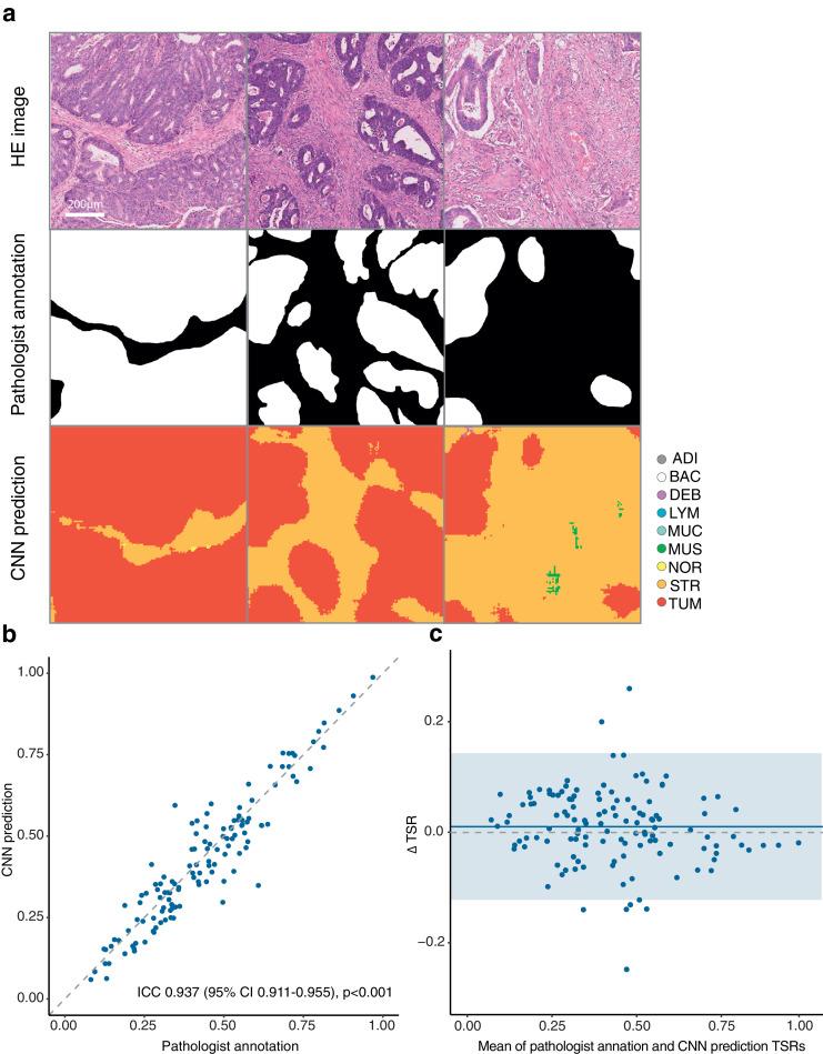 https://cdn.ncbi.nlm.nih.gov/pmc/blobs/1179/7648125/c23ea8122abb/gr3.jpg