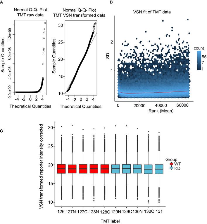 https://cdn.ncbi.nlm.nih.gov/pmc/blobs/1179/8634139/a8d9636dcfe5/EMBJ-40-e108271-g004.jpg
