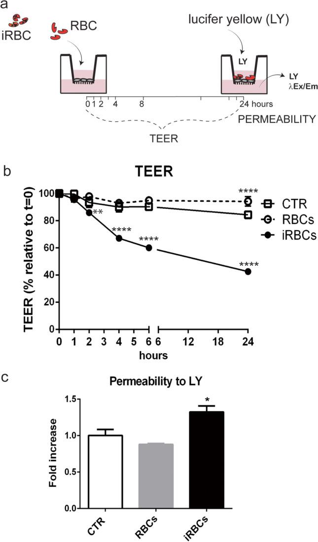 https://cdn.ncbi.nlm.nih.gov/pmc/blobs/117b/9988999/3d8874f682a3/436_2023_7782_Fig2_HTML.jpg