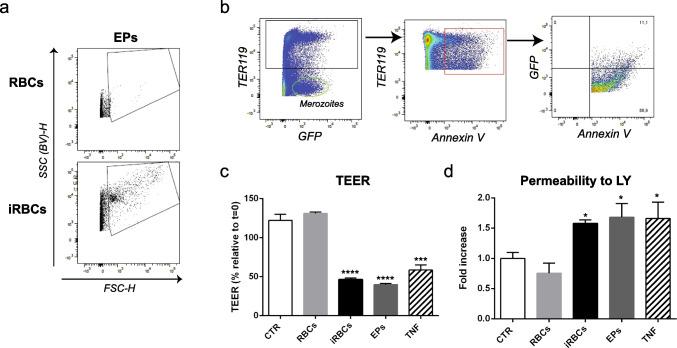 https://cdn.ncbi.nlm.nih.gov/pmc/blobs/117b/9988999/acf96244cfd1/436_2023_7782_Fig4_HTML.jpg