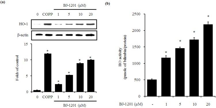 https://cdn.ncbi.nlm.nih.gov/pmc/blobs/117c/6274493/1f92ff3b818d/molecules-21-00594-g002.jpg