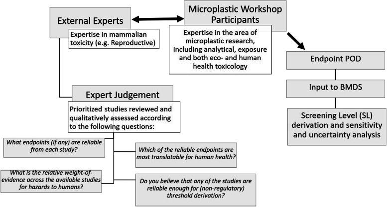 https://cdn.ncbi.nlm.nih.gov/pmc/blobs/117c/9132802/c43b65197bb0/43591_2022_30_Fig1_HTML.jpg
