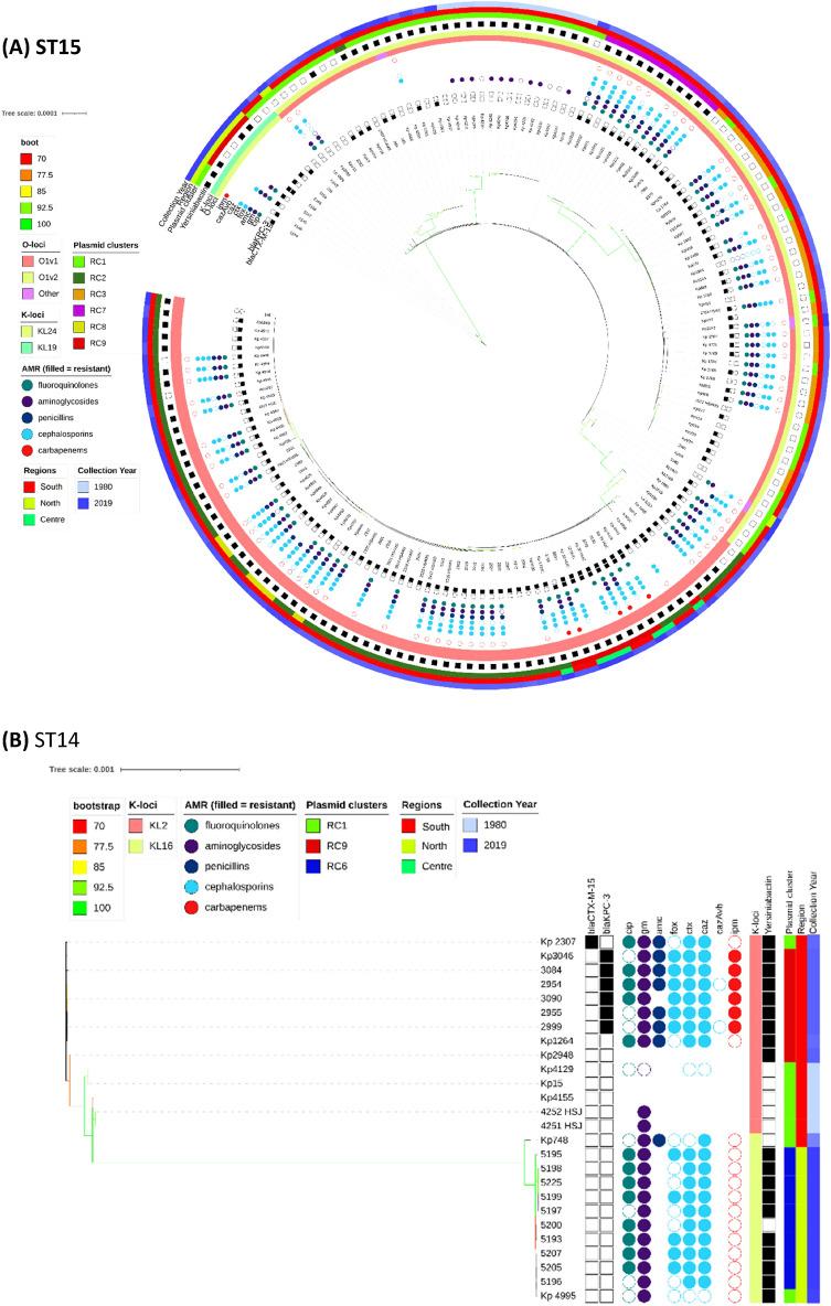 https://cdn.ncbi.nlm.nih.gov/pmc/blobs/117d/9376061/fa78daf5847a/41598_2022_17996_Fig1a_HTML.jpg