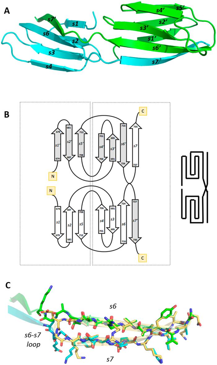 https://cdn.ncbi.nlm.nih.gov/pmc/blobs/117f/4804311/84948efbeca2/srep23123-f3.jpg