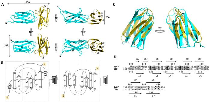 https://cdn.ncbi.nlm.nih.gov/pmc/blobs/117f/4804311/b9764428c5d7/srep23123-f1.jpg