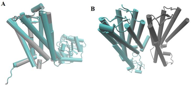 https://cdn.ncbi.nlm.nih.gov/pmc/blobs/1181/8952423/75824889167a/ijms-23-03229-g003.jpg