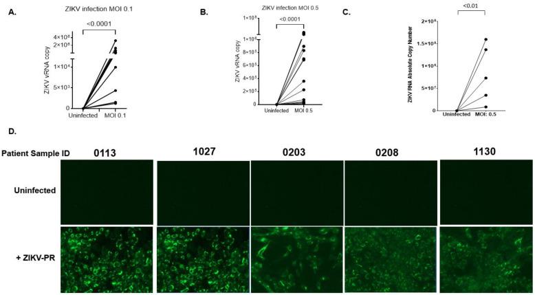 https://cdn.ncbi.nlm.nih.gov/pmc/blobs/1182/9415962/c4d732fd5df3/pathogens-11-00853-g007.jpg