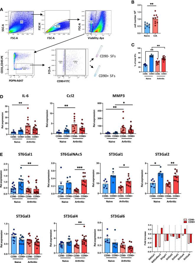 https://cdn.ncbi.nlm.nih.gov/pmc/blobs/1184/8971784/572a06052964/fimmu-13-847581-g001.jpg