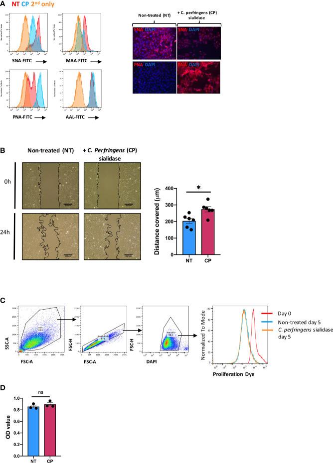https://cdn.ncbi.nlm.nih.gov/pmc/blobs/1184/8971784/faa1439fb828/fimmu-13-847581-g002.jpg