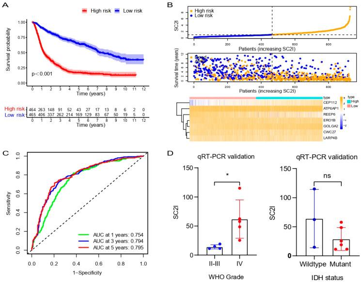 https://cdn.ncbi.nlm.nih.gov/pmc/blobs/1184/9777143/5303f58ee18a/cells-11-03997-g008.jpg