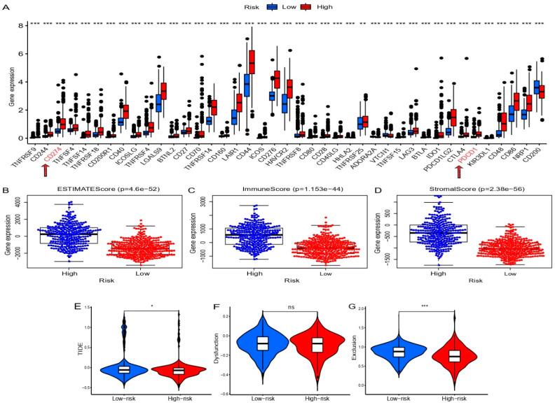 https://cdn.ncbi.nlm.nih.gov/pmc/blobs/1184/9777143/6c25b125acf9/cells-11-03997-g007.jpg